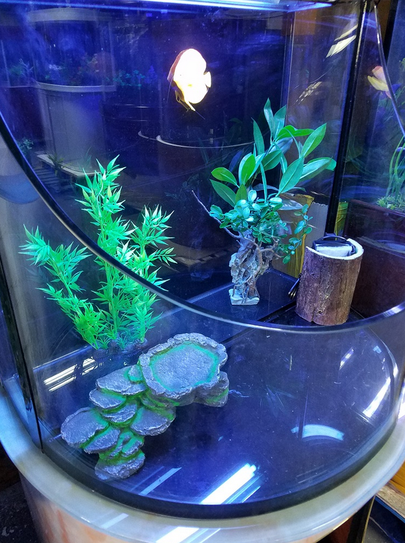 RARE AQUARIUM ITEM, CANYON VIEW EXTEND HALF CYLINDER 25 gallon.