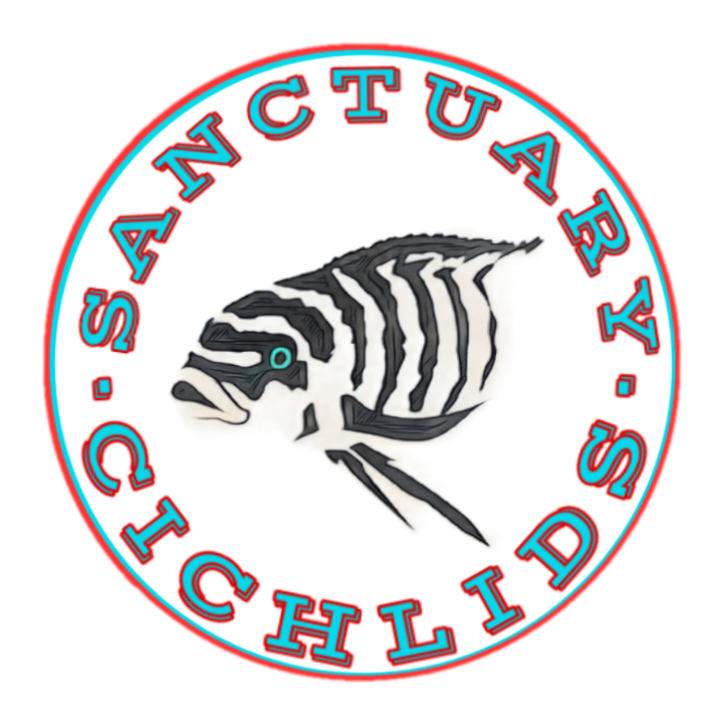 Sanctuary Cichlids