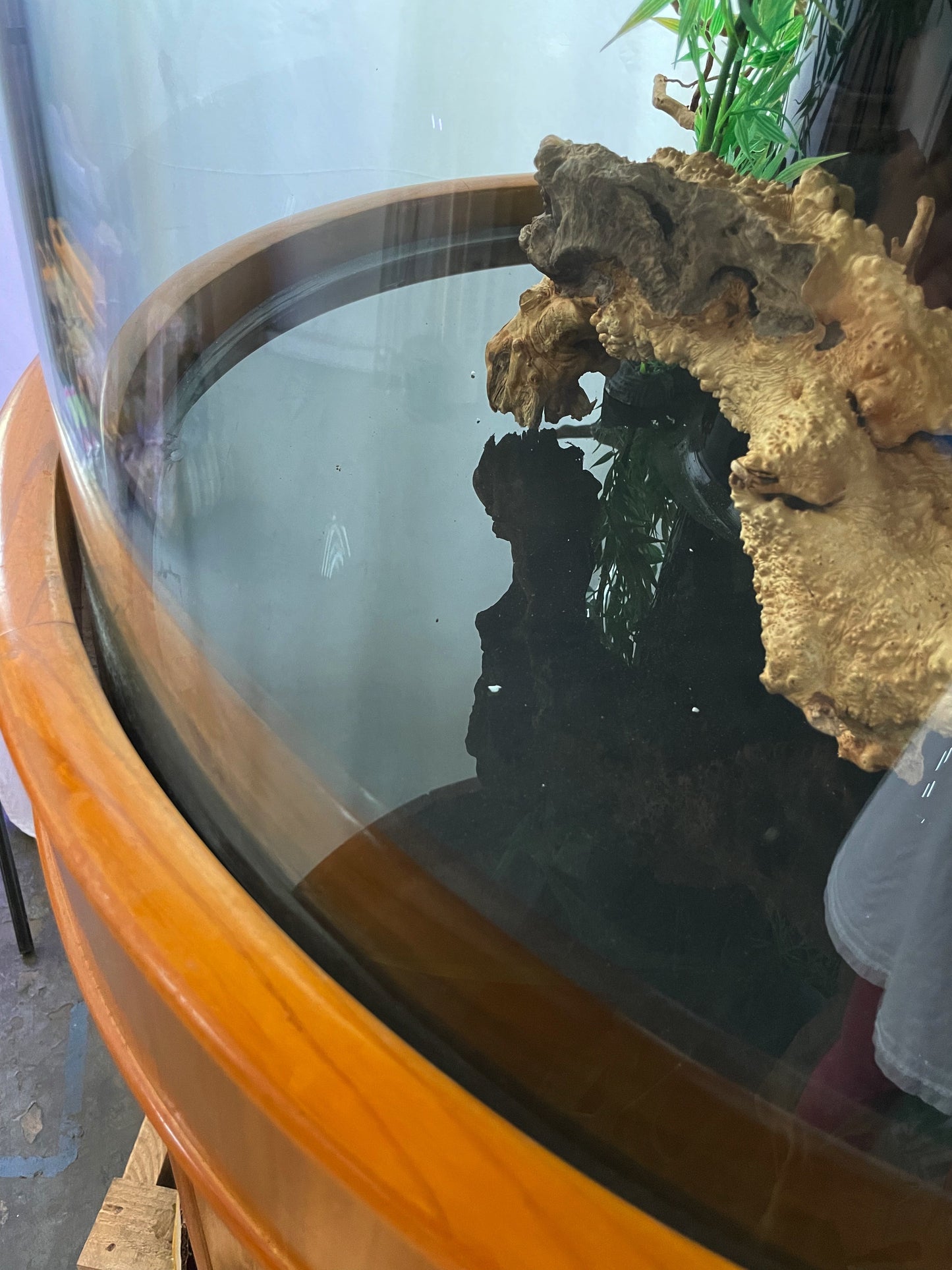 100 Gallon Glass Full Cylinder Aquarium Minor Blemish Reef-Ready Aquarium in Golden Oak Real Wood Furniture