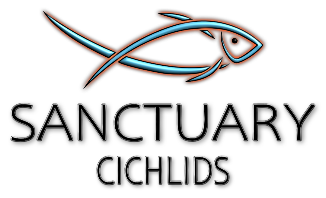 Shipping Sanctuary Cichlids shipping-sanctuary-cichlids