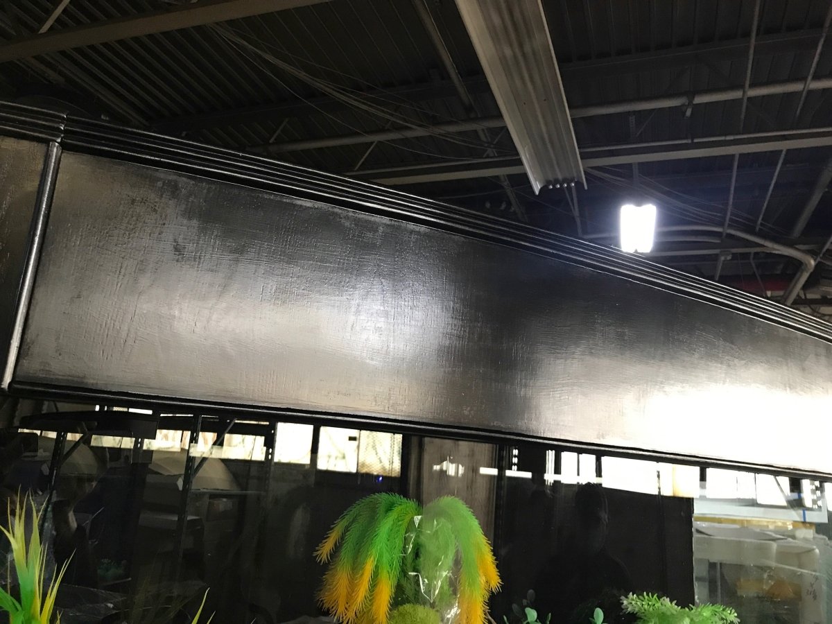 WARRANTY INCLUDED! 215 gallon GLASS bow front aquarium fish tank set