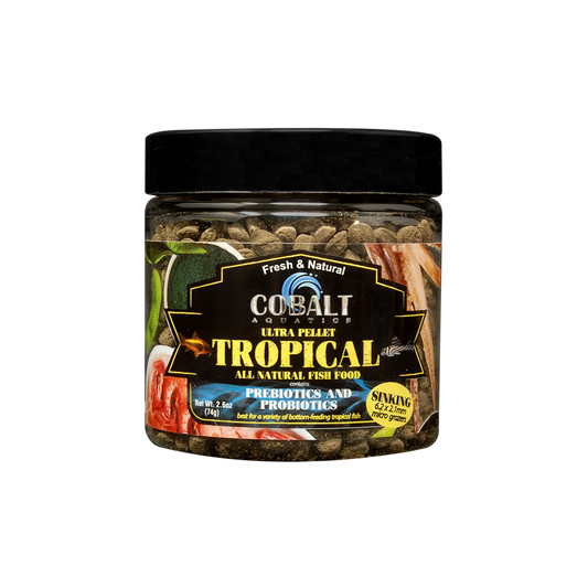 Ultra Tropical Micro Grazers