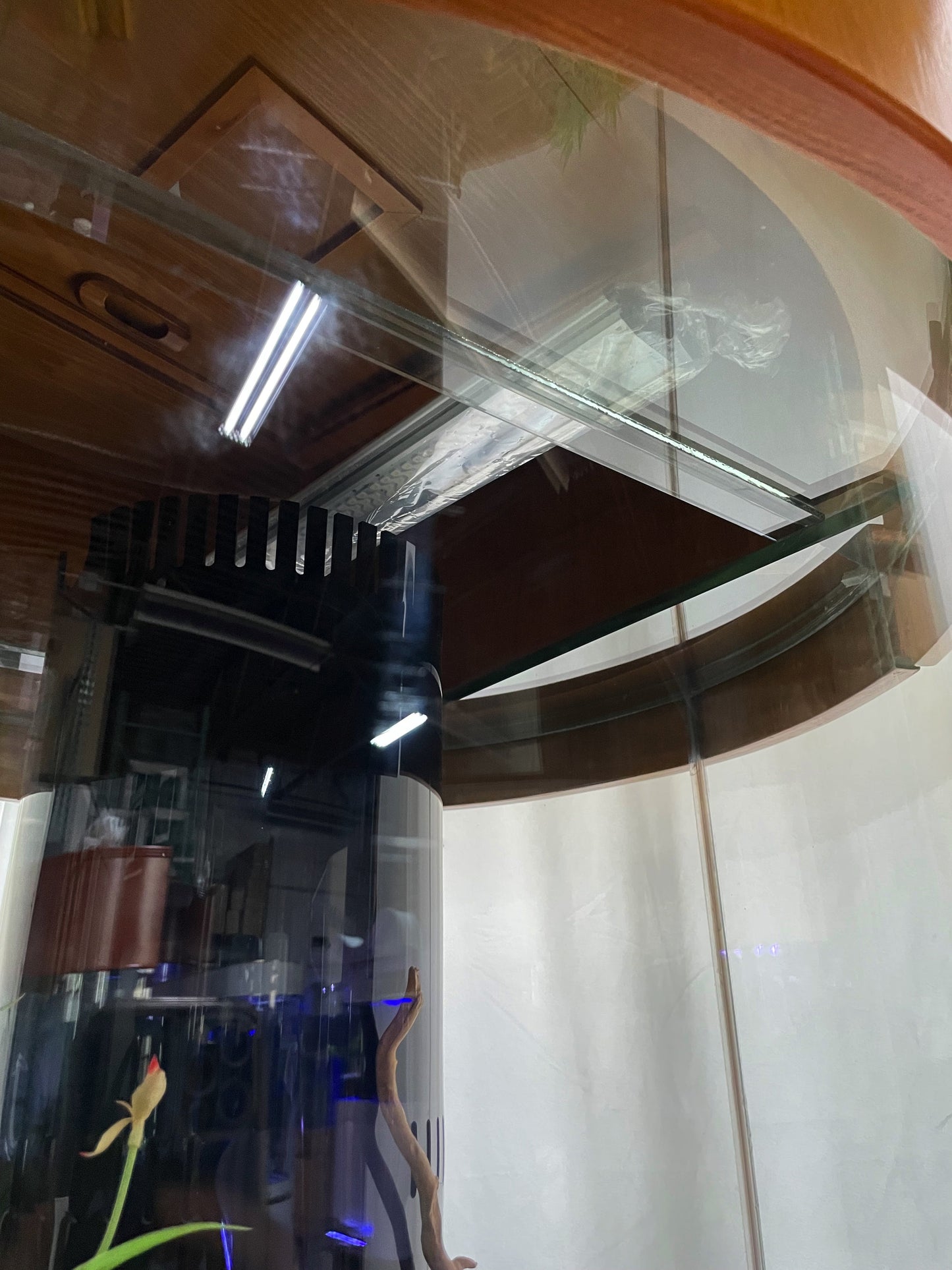 100 Gallon Glass Full Cylinder Aquarium Minor Blemish Reef-Ready Aquarium in Golden Oak Real Wood Furniture
