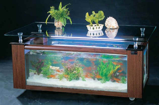 WARRANTY INCLUDED! 45 gallon GLASS rectangle table aquarium fish tank full setup
