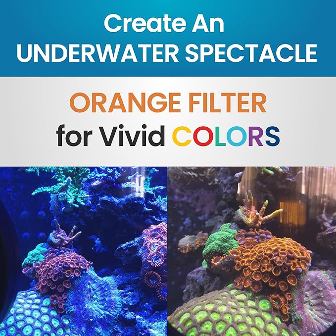 DeepSee Viewer Black Max 5" - Orange Filter