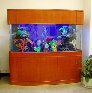 MONSTER TANK! 380 Gallon Seamless Glass Bowfront Reef-Ready Aquarium in Premium Cherry Real Wood Furniture