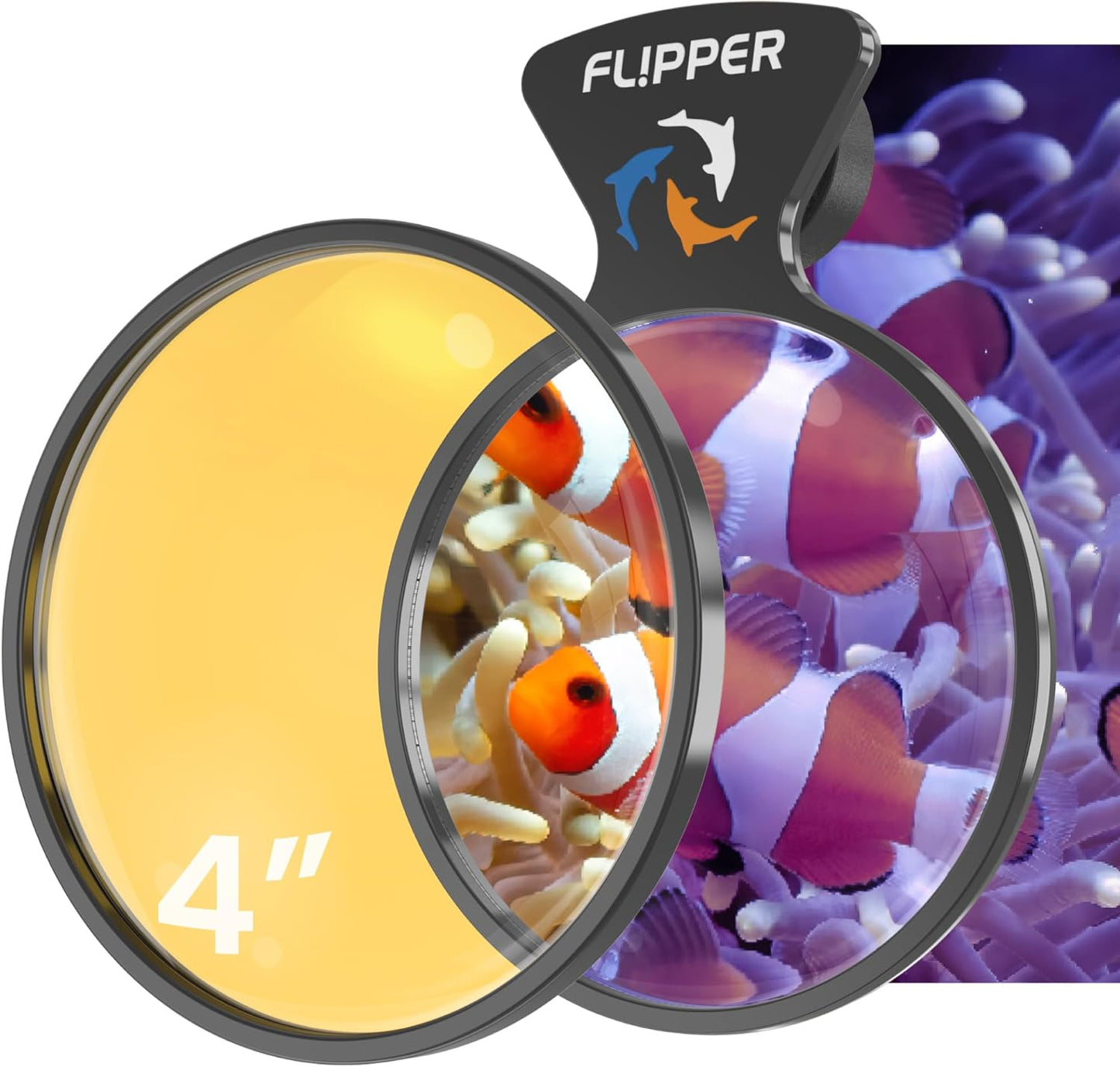 DeepSee Viewer Black - Orange Filter