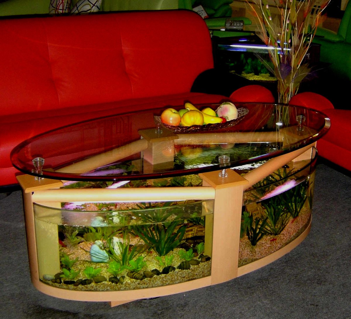 WARRANTY INCLUDED! 55 gallon GLASS round circle table aquarium fish tank setup- MAPLE